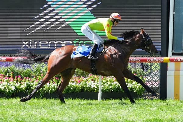 LEADING STAKES PERFORMERS